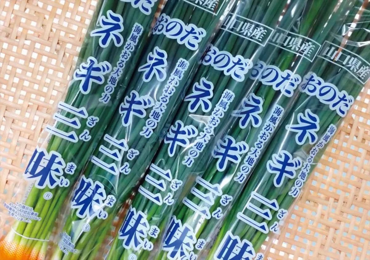 山口県山陽小野田市特産の「おのだネギ三昧」。