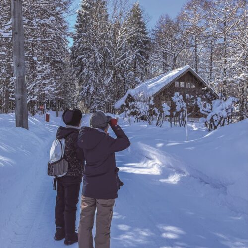 【田舎暮らしスタッフのリアルな田舎生活】雪に翻弄されながらも楽しめる、移ろう景色を肌で感じる森暮らし【長野県飯綱町】