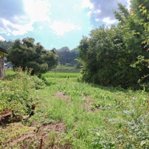 山形県大江町の物件の敷地。菜園スペースがあります