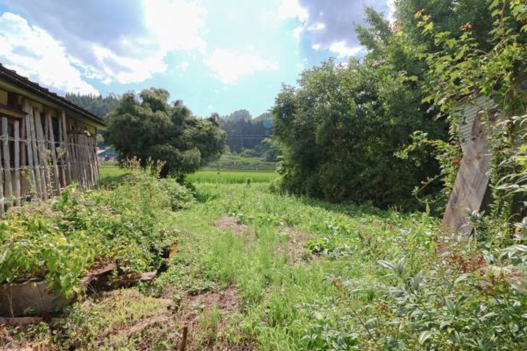 山形県大江町の物件の敷地。菜園スペースがあります