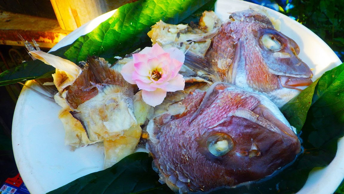 鯛の調理法をひとつ紹介しよう。圧力鍋で半日煮込む。そうすると身と一緒に食べられるくらい骨が柔らかくなる。血液をサラサラにする成分EPAやDHAが摂取できる魚は健康に良い。特に骨には切り身の数百倍のカルシウムが含まれているという。回転寿司のマグロやサーモンも悪くはなかろうが、参考にすべきことであろう。