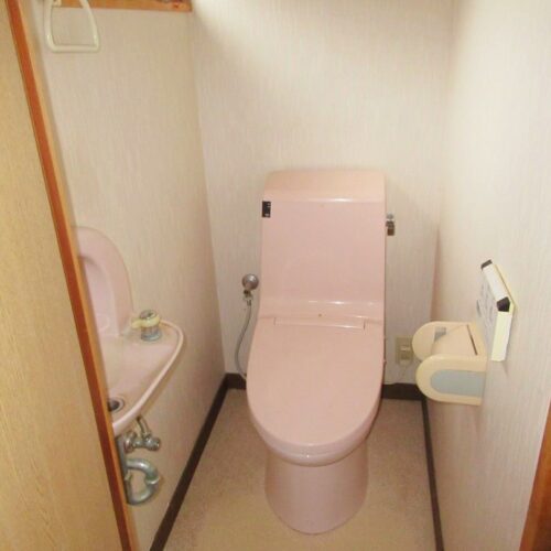 新潟県糸魚川市の物件のトイレ