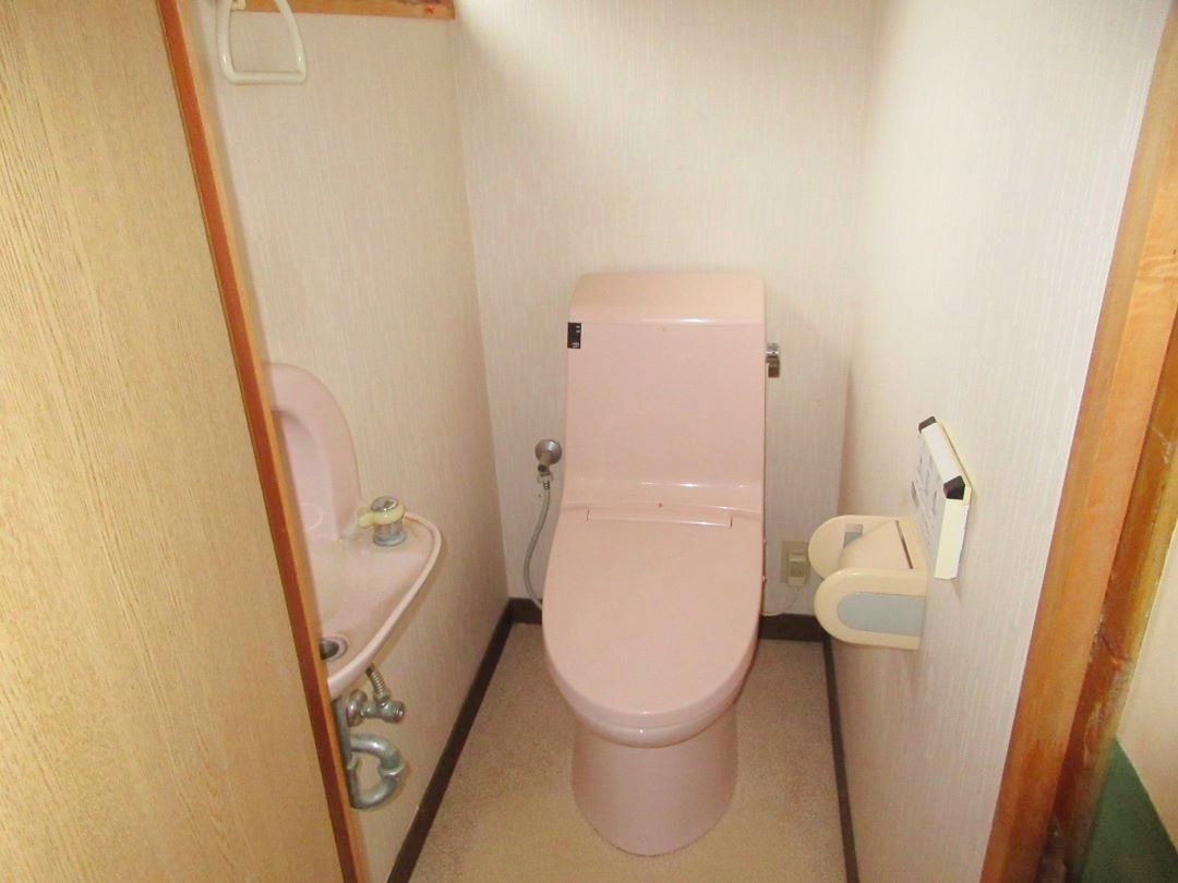 新潟県糸魚川市の物件のトイレ