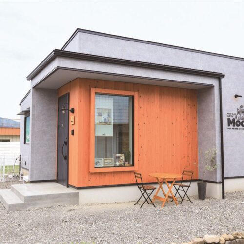 山梨県笛吹市に新しくつくったペット撮影専門のスタジオ「ペットフォトスタジオMoo」