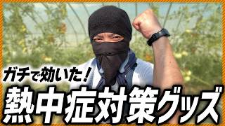 【農家直伝】40℃の畑でも安全！ 熱中症対策のポイント5つとおすすめグッズ｜虫除けTシャツ、ネッククーラー、帽子用保冷剤など