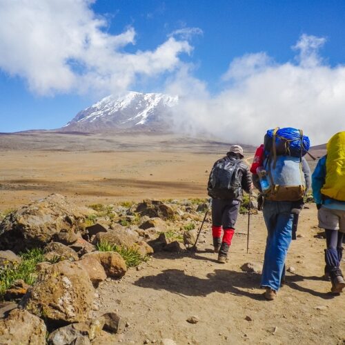 約2年半に及んだバックパッカー旅の途上では、アフリカ大陸最高峰、標高5895ｍのキリマンジャロに登頂したことも