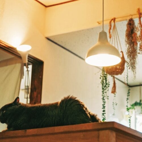 移住前から使っている無印良品のペンダントライト／島のおばあちゃんちで暮らす