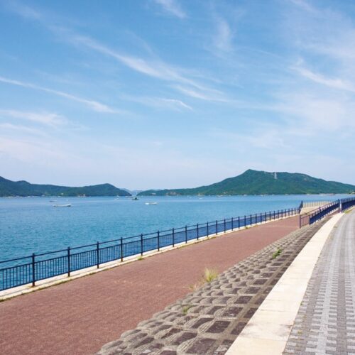 Nさん夫妻の家から約15分歩けば海辺の散歩道へ。ここには芝生広場や遊具のある「鳴門ウチノ海総合公園」があり、家族連れに人気だ。