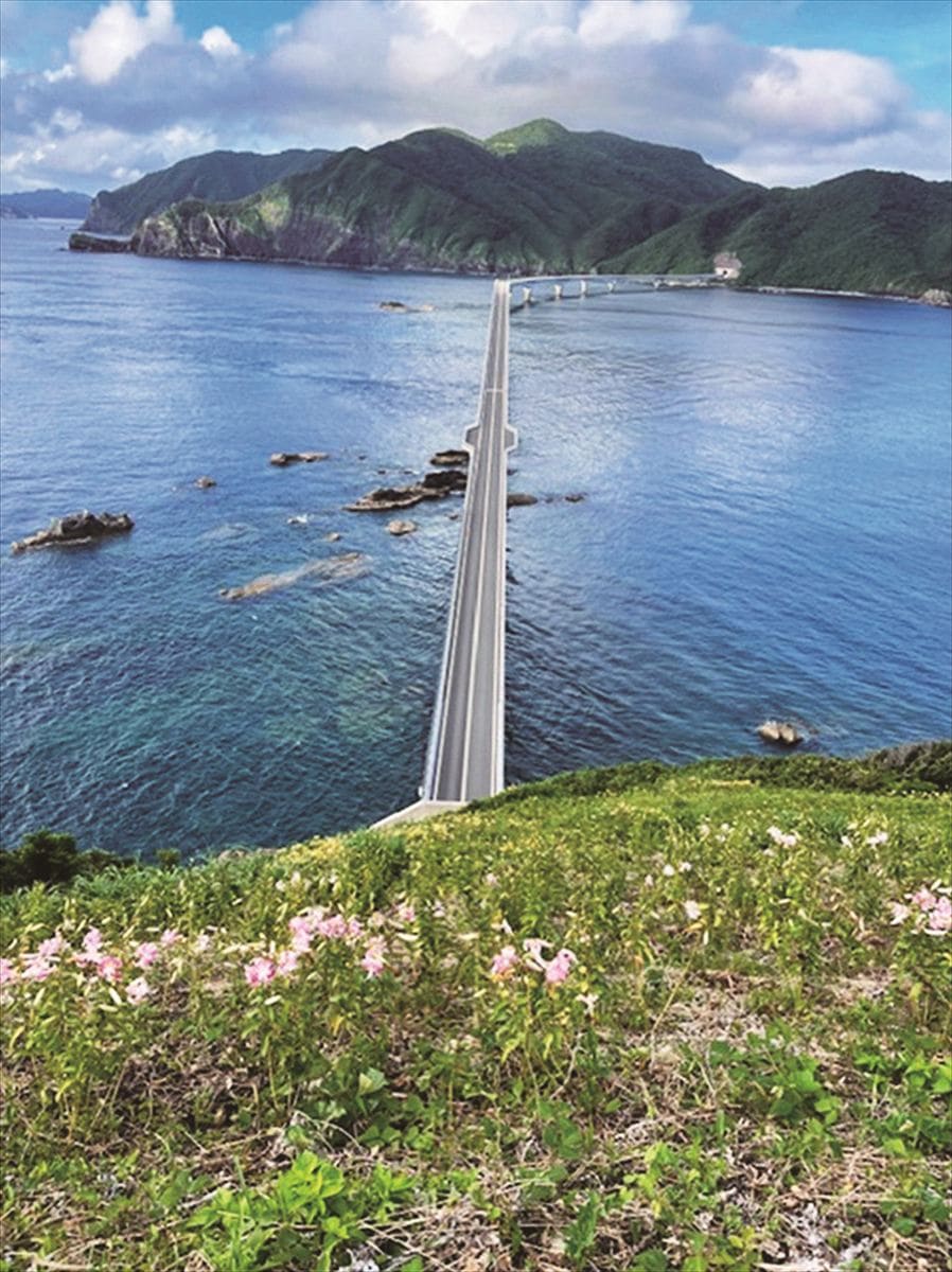 鹿児島県薩摩川内市の中甑島と下甑島をつなぐ甑大橋