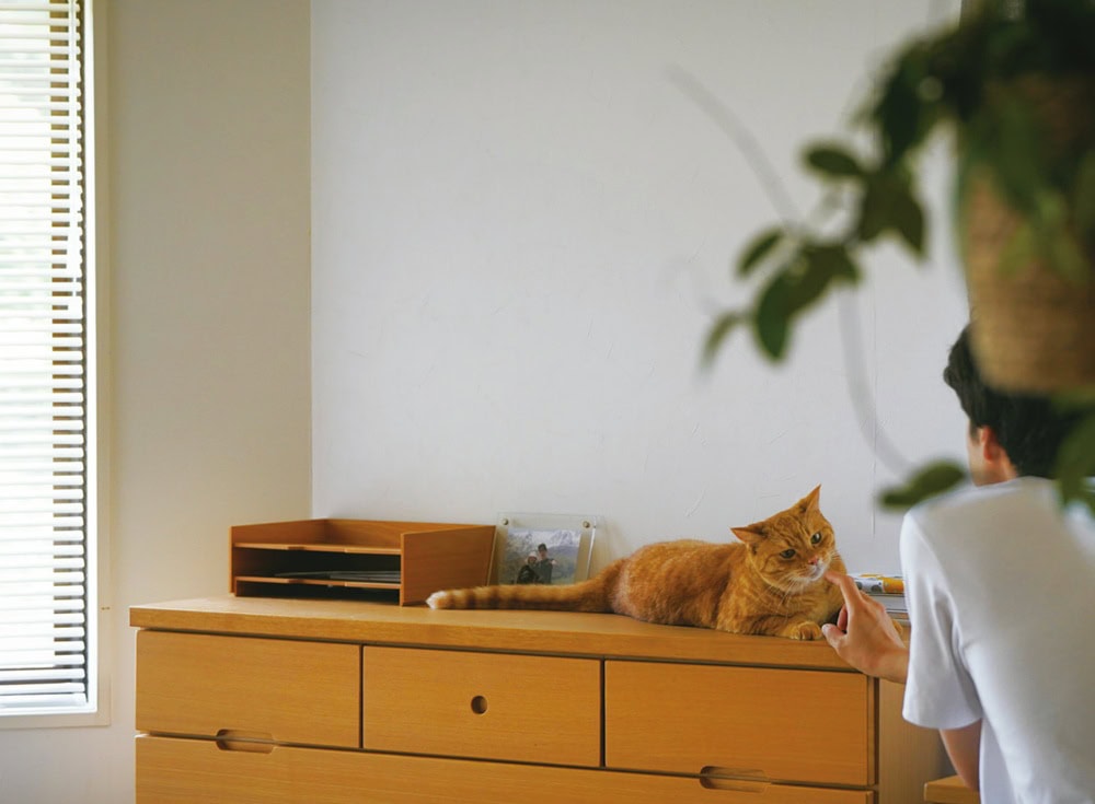妻と保護猫2匹とともに、趣味の登山やキャンプも楽しみながら、田舎でのどかな生活を送っている／「KUMALOG生活の山小屋（KUMAさん）