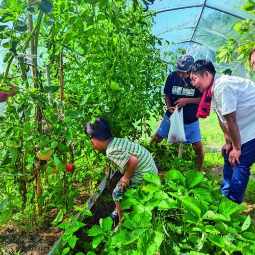 全国トップクラスの移住定住支援と豊かな自然、子育てしやすさを確認しませんか？　子育て世帯向けに オーダーメイドの移住体験会を開催【大分県豊後高田市】