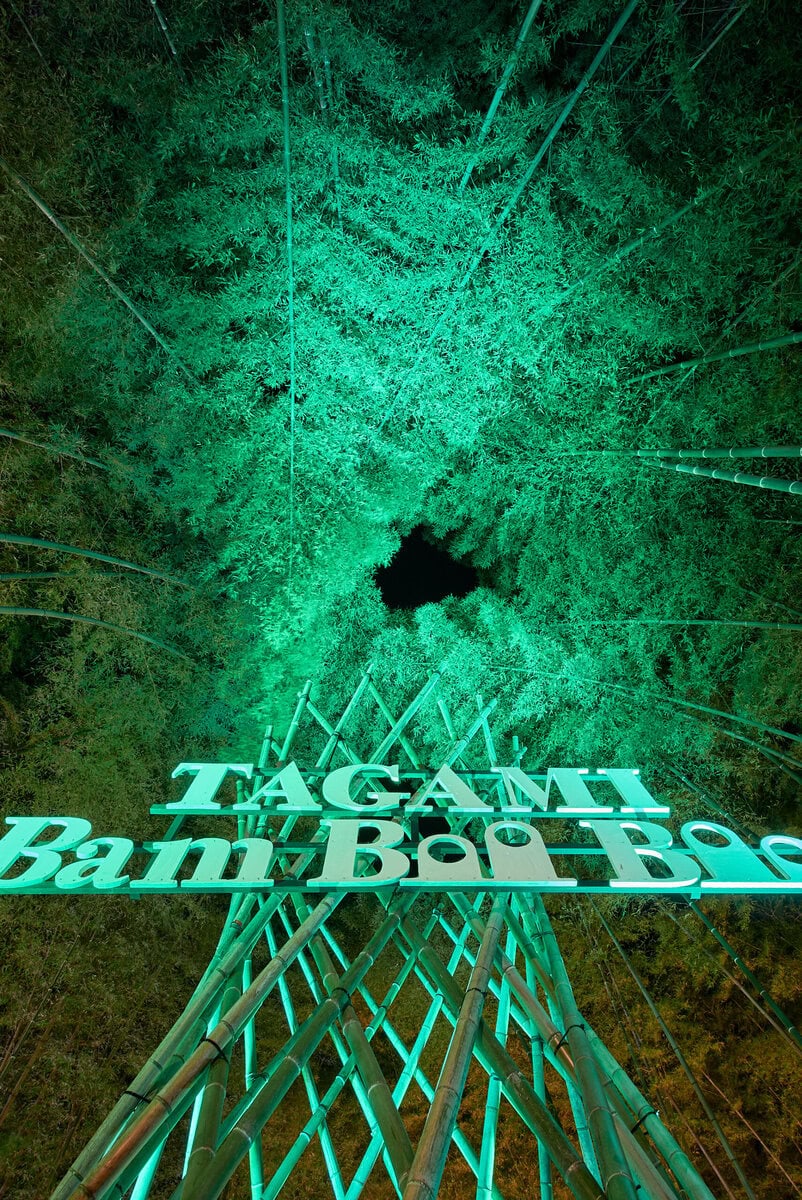 一生に一度は見たい光の竹林｜新潟・田上町「たがみバンブーブー2025