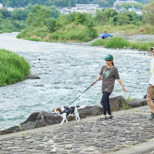 多摩川沿いを愛犬と散歩する移住者さん夫妻（東京都青梅市）