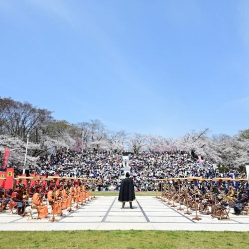 春の風物詩「天童桜まつり」で開催される人間将棋／山形県天童市