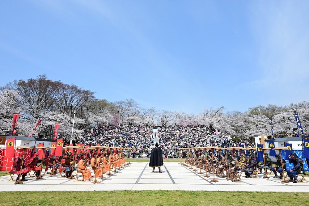 春の風物詩「天童桜まつり」で開催される人間将棋／山形県天童市