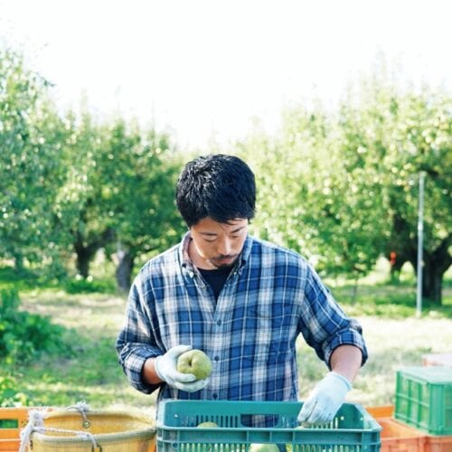洋梨は年に一度しか収穫できない。「就農5年目の僕は、まだ5回しか経験していません。だから周りの農家さんに教わることも多いです」／山形県天童市