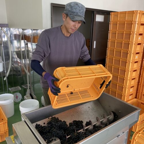 ワイナリーは建物や設備のコストを最小限に抑え、農協・地銀・国の協調融資や出資、クラウドファンディングも活用して資金を捻出／秋田県由利本荘市