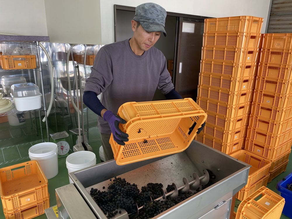 ワイナリーは建物や設備のコストを最小限に抑え、農協・地銀・国の協調融資や出資、クラウドファンディングも活用して資金を捻出／秋田県由利本荘市