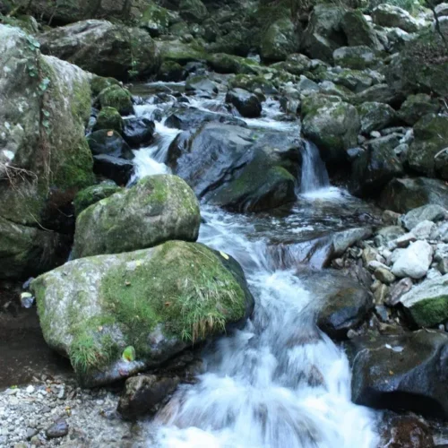 三重県伊賀市の馬野渓谷。