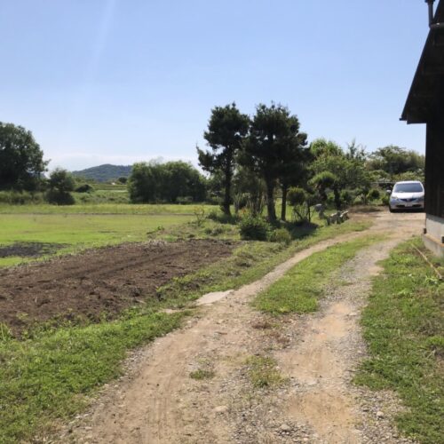 大分県豊後高田市の物件の畑。