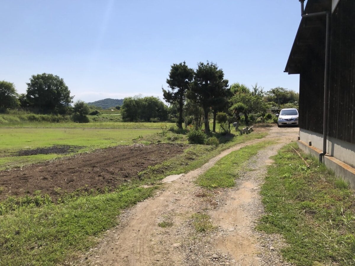大分県豊後高田市の物件の農地。
