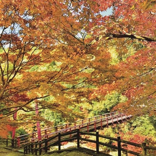 岡山県備前市の紅葉スポット「三国渓（みくにけい）」。