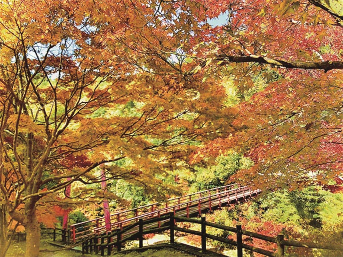 岡山県備前市の「三国渓」。