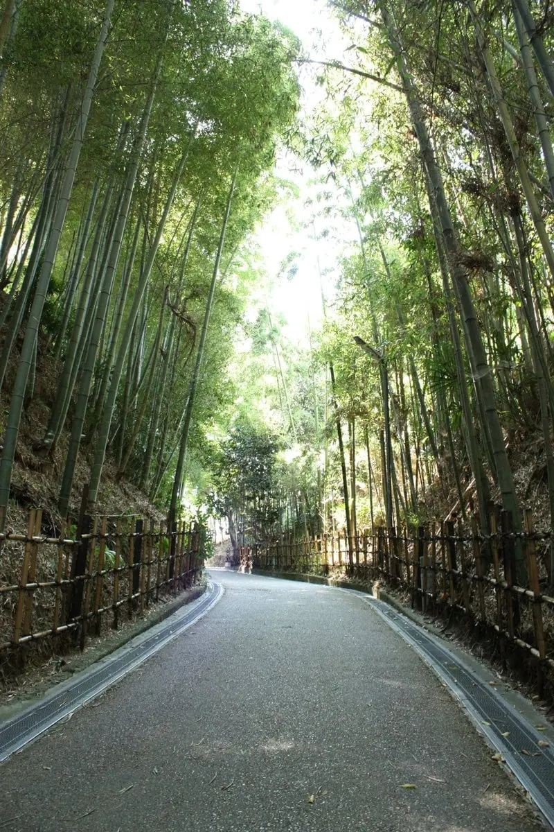 三重県伊賀市にある小六坂(ころくざか)。