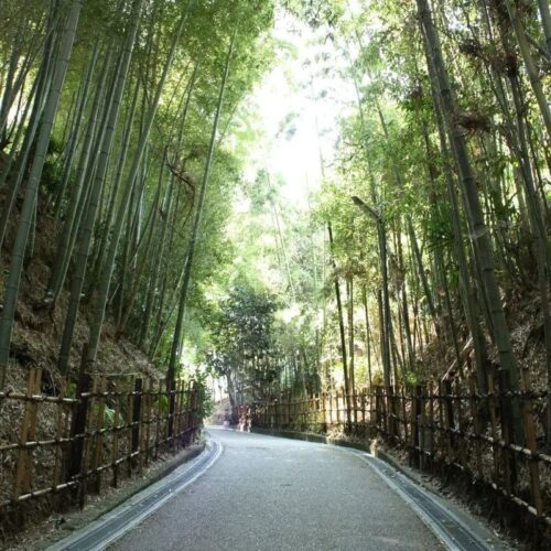 三重県伊賀市の小六坂(ころくざか)。