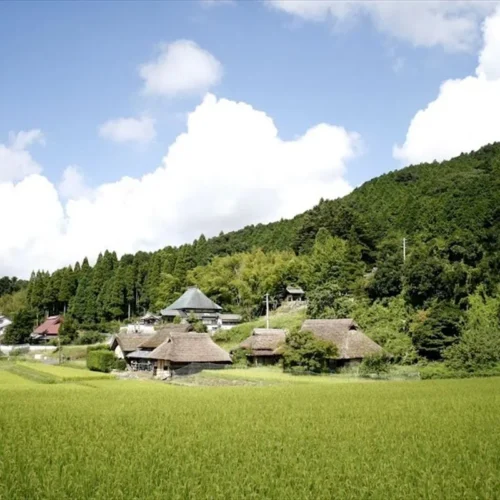 岡山県備前市の八塔寺ふるさと村。