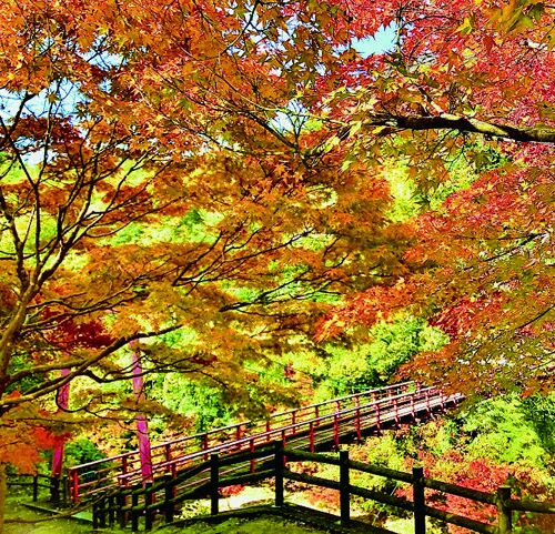 岡山県備前市の三国渓の紅葉。