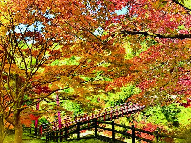 岡山県備前市の三国渓の紅葉。