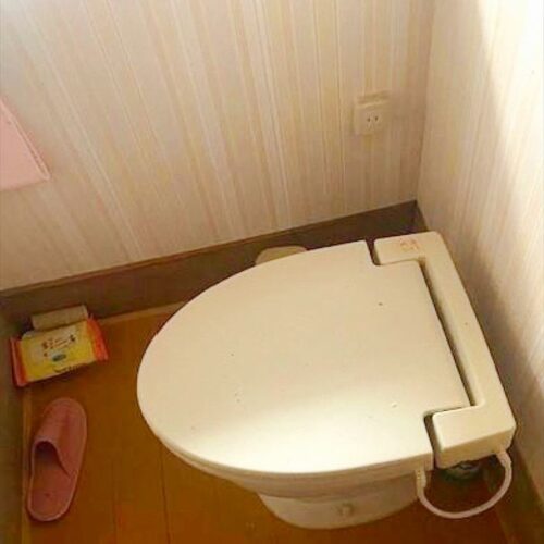 兵庫県洲本市の物件のトイレ