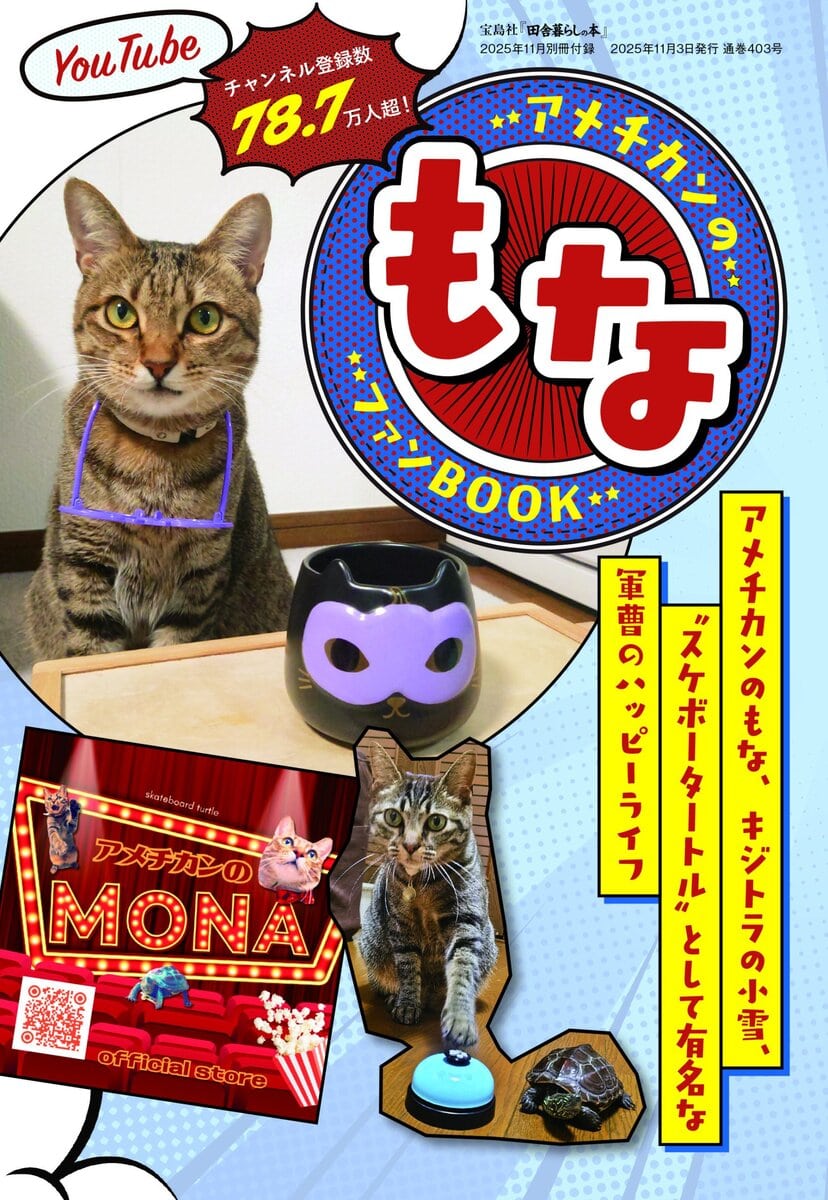 田舎暮らしの本11月号_別冊付録_アメチカンのもな ファンBOOK