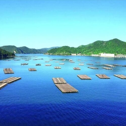 岡山県備前市の日生大橋から見た風景。