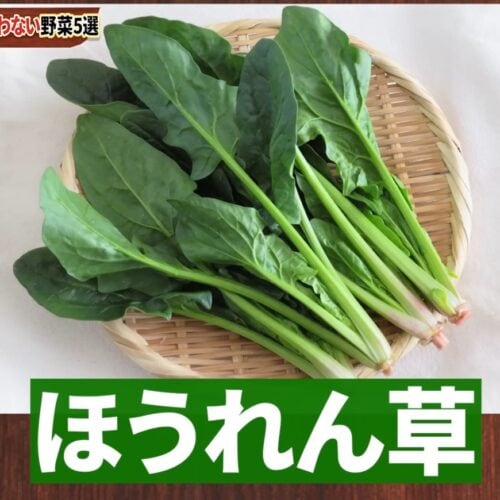 第5位 ほうれん草