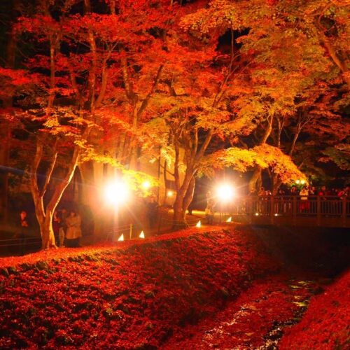 山梨の道の駅おすすめ4選|紅葉ドライブで絶景・グルメ・キャンプを満喫! 道の駅マスターが厳選