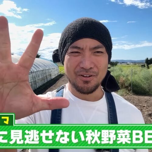 10月に植えるべき野菜BEST5！