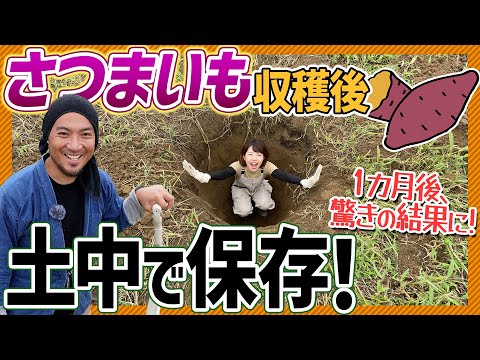 さつまいもは掘りたてNG! 甘くする保存&熟成のコツ【プロ農家が解説】