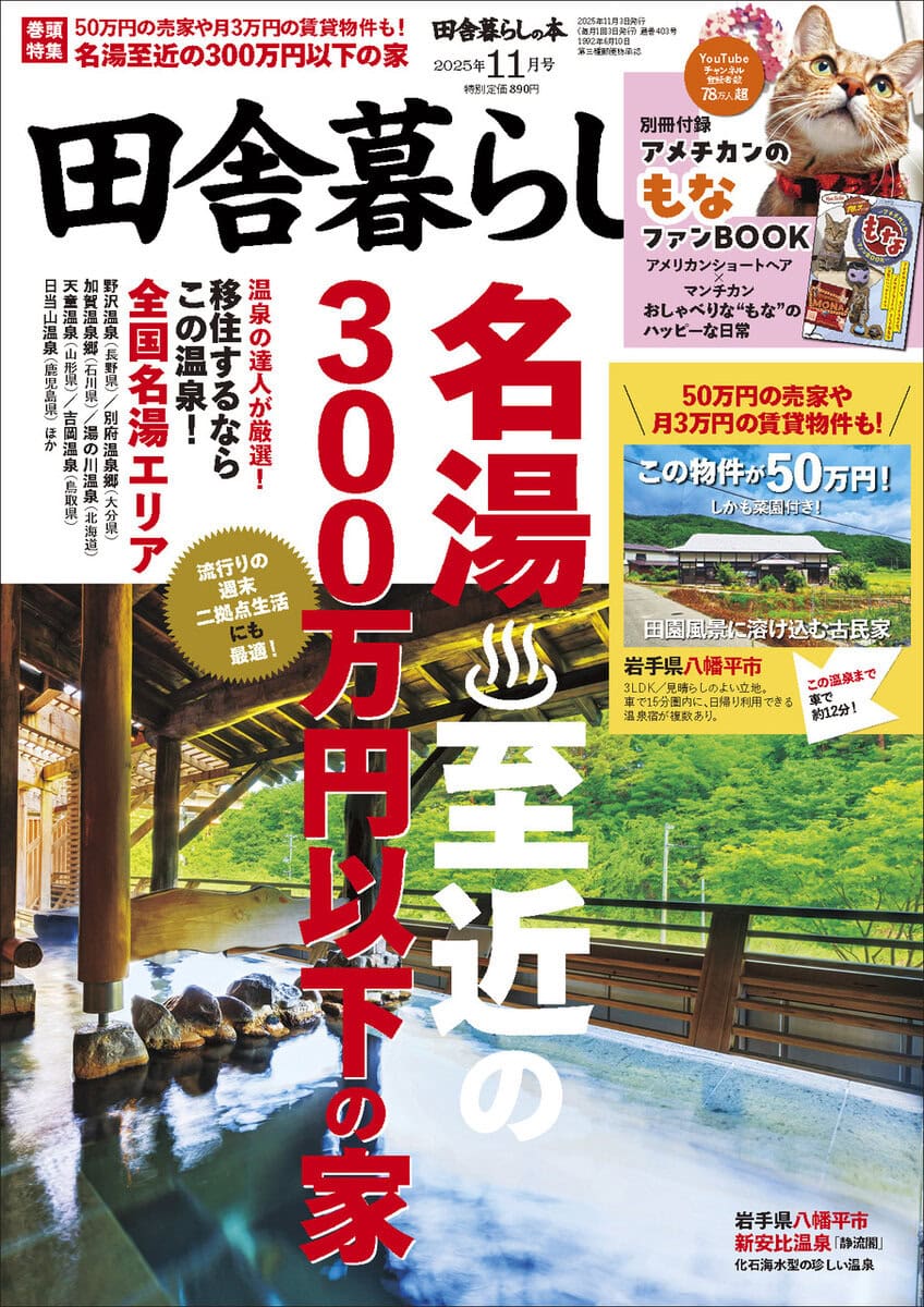 田舎暮らしの本11月表紙