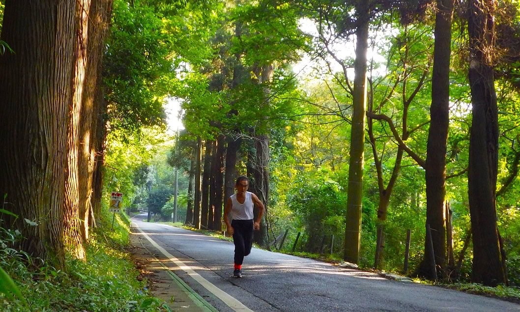 最初の田舎暮らしでも、現在の田舎暮らしでも、黙って通り過ぎるなんて絶対禁物。ランニングの途中で行き会う村人には必ずスピードを落としておはようございます、暑いですねえ、やっと涼しくなりましたねえ・・・軽く頭を下げ、そう言葉を発してきた。