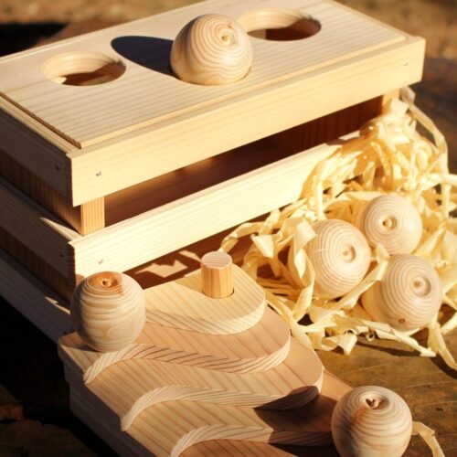 群馬県沼田市/ぬまたのりんごつみき