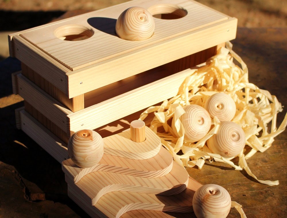 群馬県沼田市/ぬまたのりんごつみき