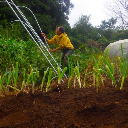 幸か、あるいは不幸か、僕はボッーとすることがない。日々労働に追われて暮らす。当然ながら、思うように事が運ばず難儀する作業もある。しかしそれが退屈を押しやる。次々と生じる作業をこなし、100点満点の70点ほどであっても、ともかくどれもそれらしく仕上がったという満足を得る。