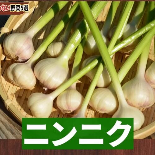 第2位 ニンニク