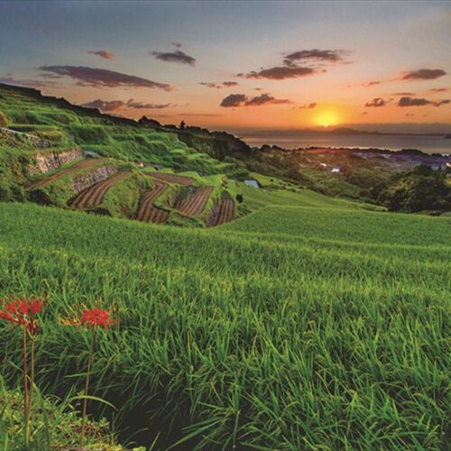 長崎県南島原市の「谷水棚田」。