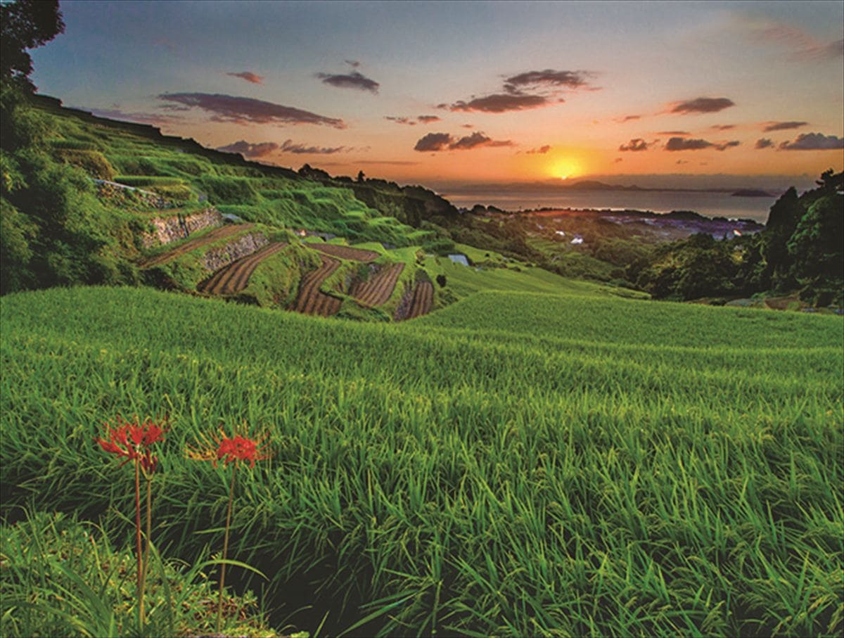 長崎県南島原市の「谷水棚田」。