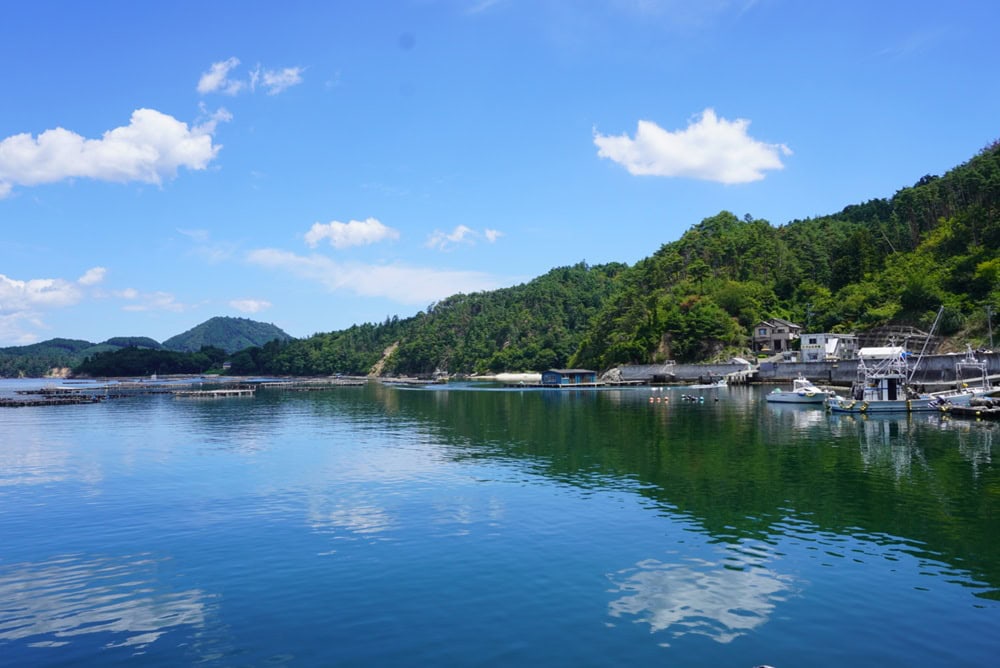 宮城県気仙沼市は漁業のまちとして沿岸から遠洋まで、各種の漁が盛ん。地域の食文化を守るスローフード運動にも取り組む