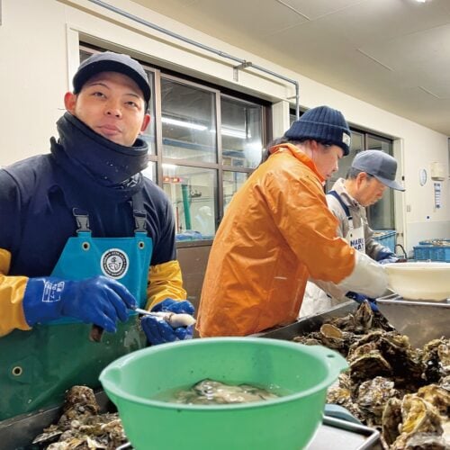 カキむきは機械ではできず一つひとつ手作業で行う/宮城県気仙沼市