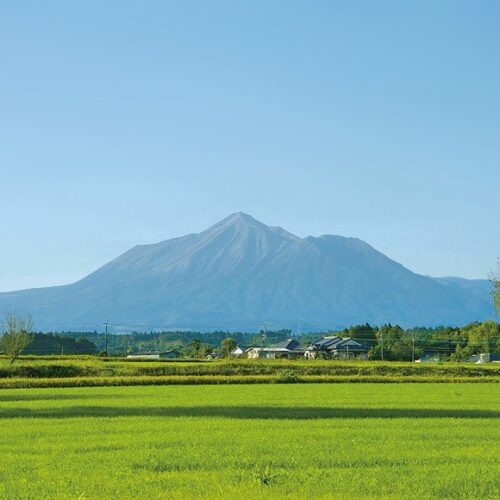 【空き家バンク利用のススメ】YouTubeで物件見学をしよう!<後編>